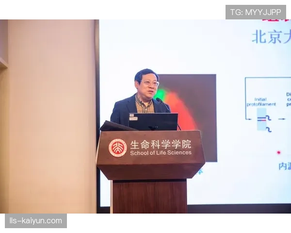 高海拔训练营的争议:科学增益与潜在健康风险的博弈